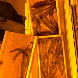 海龍丸（石川） 釣果