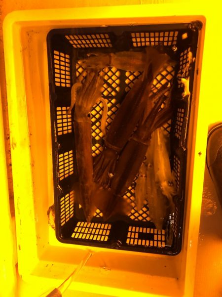 海龍丸（石川） 釣果