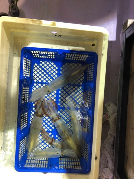 海龍丸（石川） 釣果