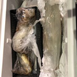 海龍丸（石川） 釣果