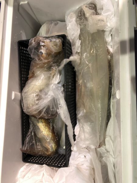 海龍丸（石川） 釣果