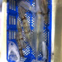 海龍丸（石川） 釣果