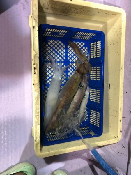 海龍丸（石川） 釣果