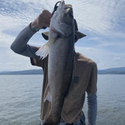 アマテラス 釣果