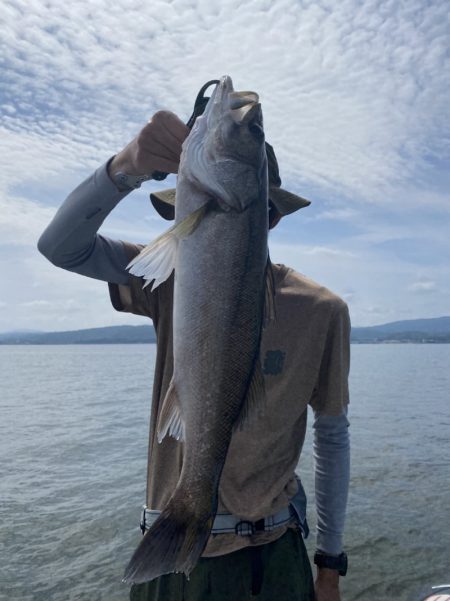 アマテラス 釣果