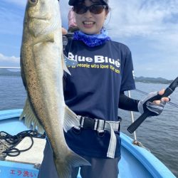 アマテラス 釣果