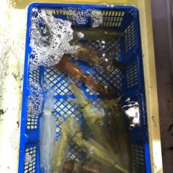 海龍丸（石川） 釣果