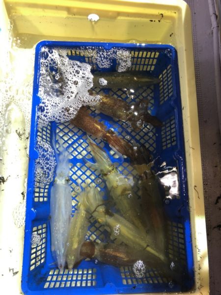 海龍丸（石川） 釣果