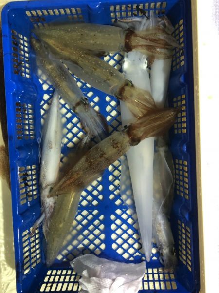 海龍丸（石川） 釣果