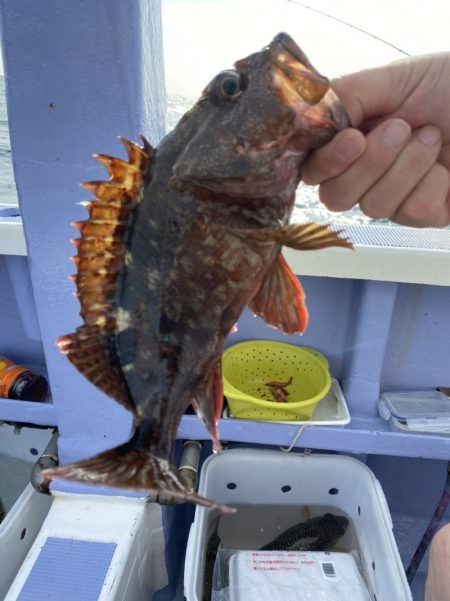 新幸丸 釣果