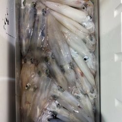 海龍丸（石川） 釣果