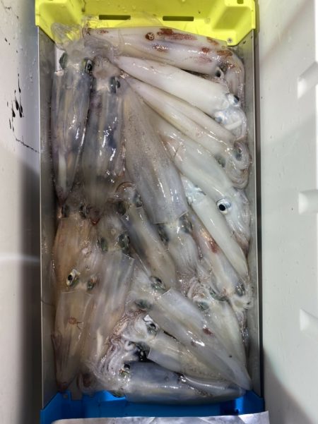 海龍丸（石川） 釣果