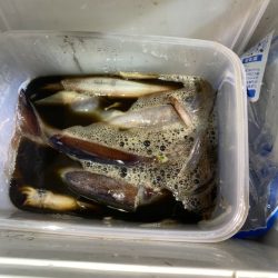 海龍丸（石川） 釣果