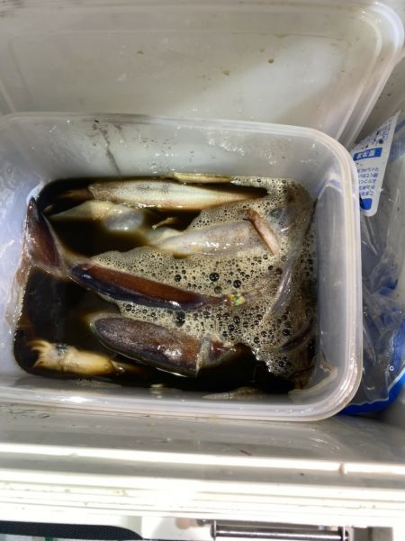 海龍丸（石川） 釣果