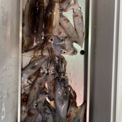 海龍丸（石川） 釣果