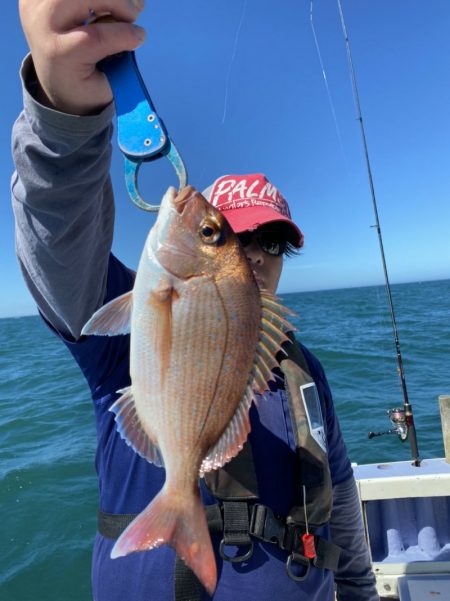 新幸丸 釣果
