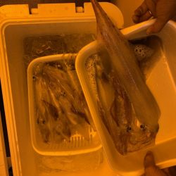 海龍丸（石川） 釣果