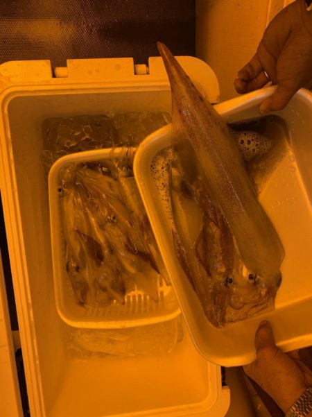 海龍丸（石川） 釣果