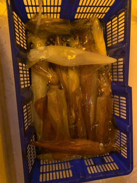 海龍丸（石川） 釣果