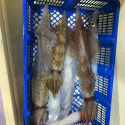 海龍丸（石川） 釣果