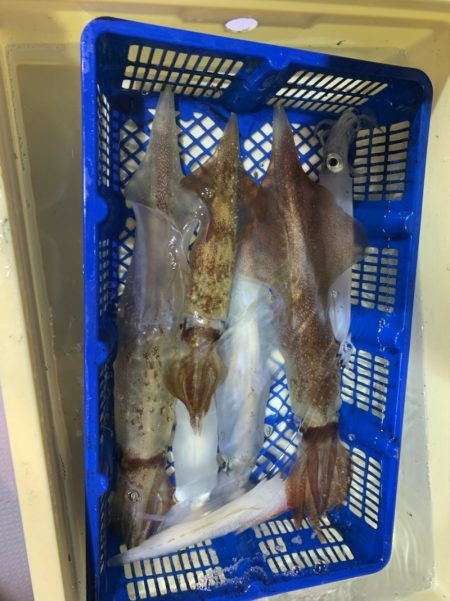 海龍丸（石川） 釣果