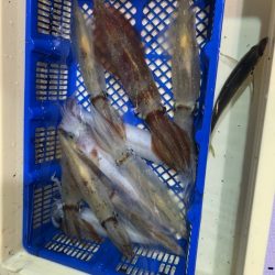 海龍丸（石川） 釣果