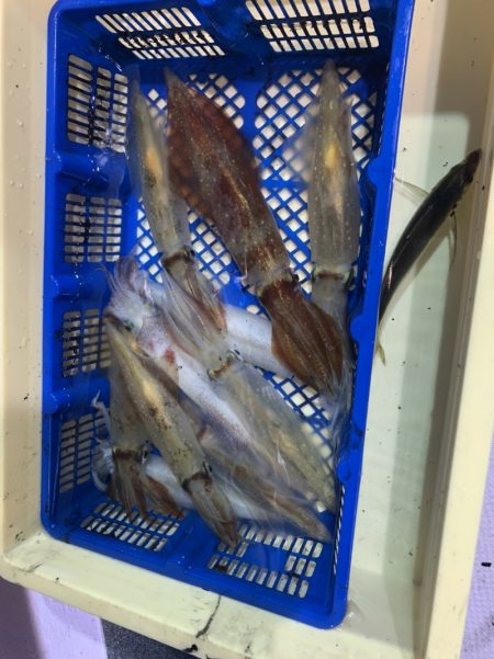 海龍丸（石川） 釣果