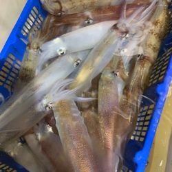 海龍丸（石川） 釣果