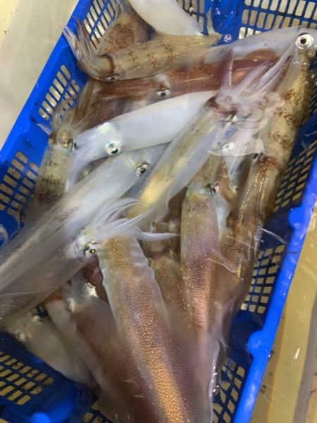 海龍丸（石川） 釣果