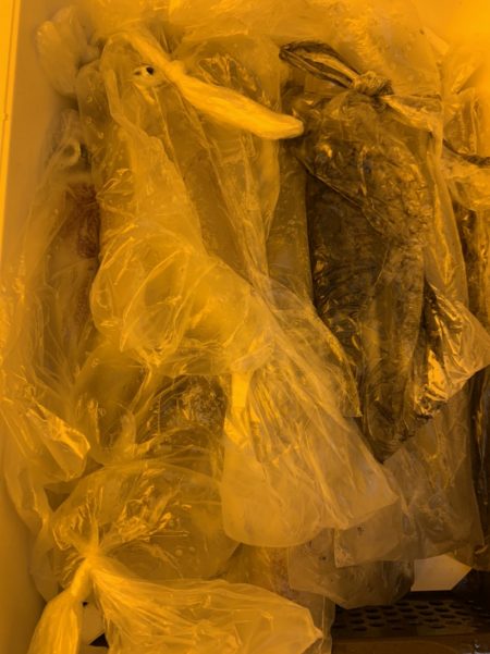 海龍丸（石川） 釣果