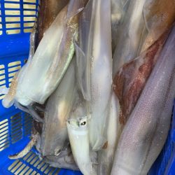 海龍丸（石川） 釣果