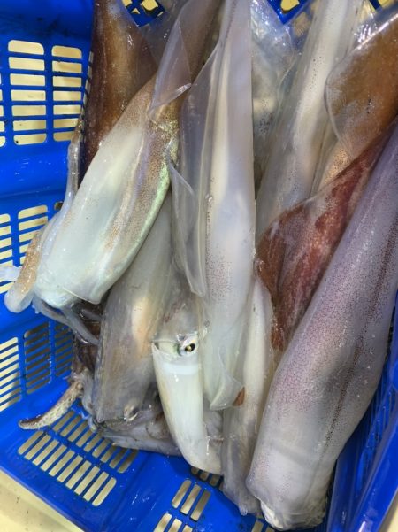 海龍丸（石川） 釣果