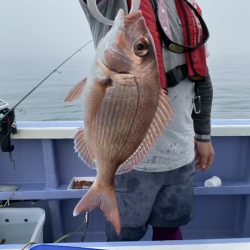 新幸丸 釣果