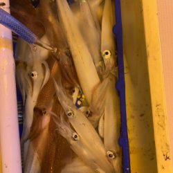 海龍丸（石川） 釣果