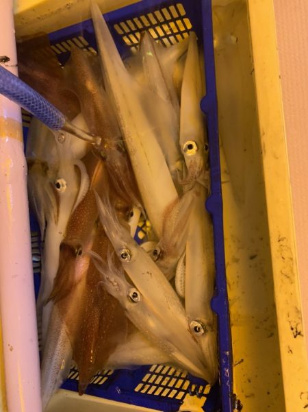 海龍丸（石川） 釣果