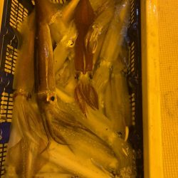 海龍丸（石川） 釣果