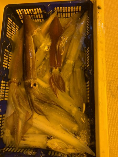 海龍丸（石川） 釣果