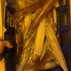 海龍丸（石川） 釣果