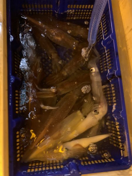 海龍丸（石川） 釣果