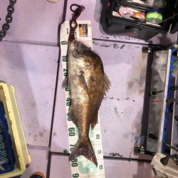 海龍丸(石川) 釣果