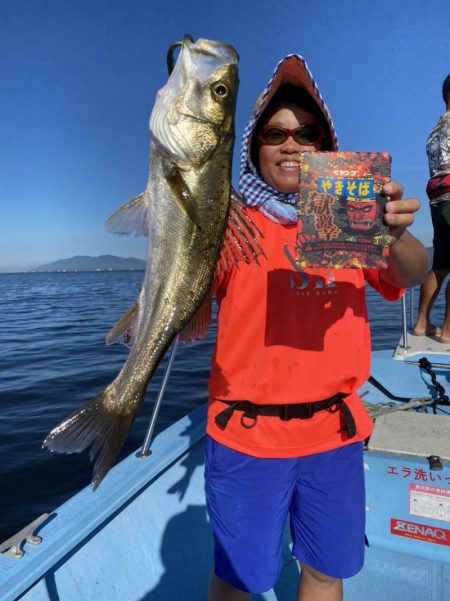 アマテラス 釣果