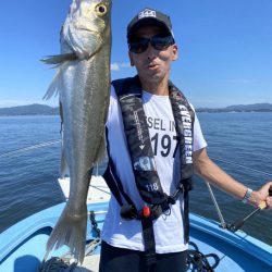 アマテラス 釣果