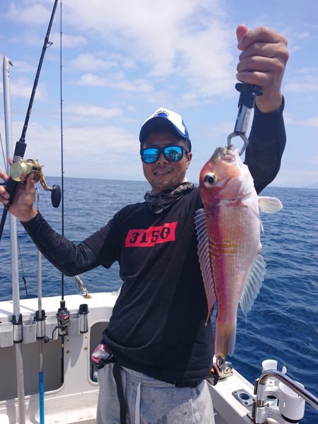 ARCADIAⅡ (アルカディアⅡ) 釣果