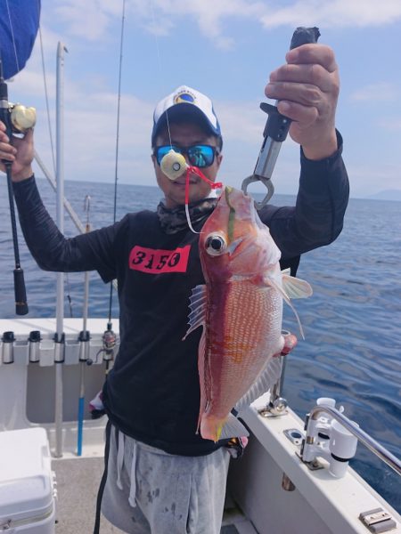 ARCADIAⅡ (アルカディアⅡ) 釣果