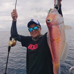 ARCADIAⅡ (アルカディアⅡ) 釣果