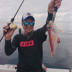 ARCADIAⅡ (アルカディアⅡ) 釣果