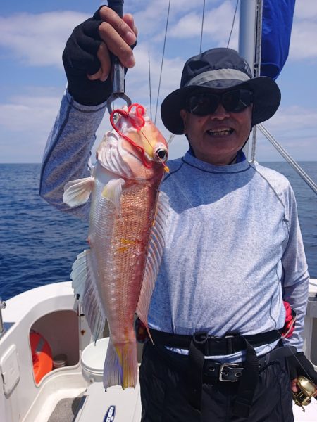 ARCADIAⅡ (アルカディアⅡ) 釣果