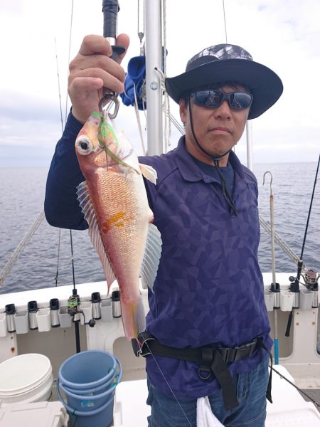 ARCADIAⅡ (アルカディアⅡ) 釣果