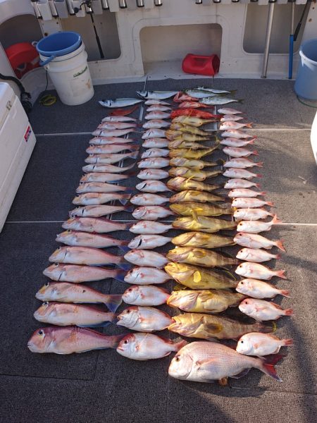 ARCADIAⅡ (アルカディアⅡ) 釣果