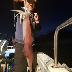 アマテラス 釣果